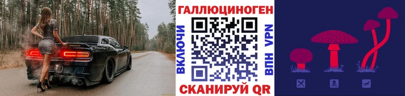 Псилоцибиновые грибы GOLDEN TEACHER  Корсаков 